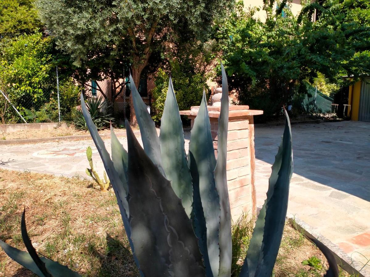 לוקה Il Cantuccio מראה חיצוני תמונה